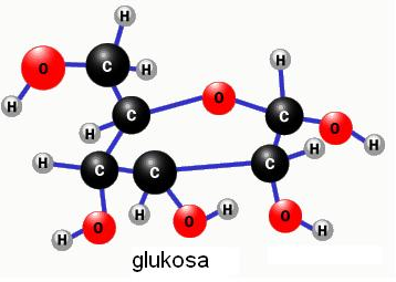 √ Glukosa : Pengertian, Struktur, Pembentukan dan Manfaatnya Lengkap