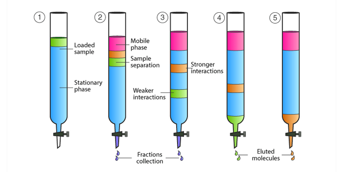 types-of-chromatography-in-pharmaceuticals-2023-flairpharma